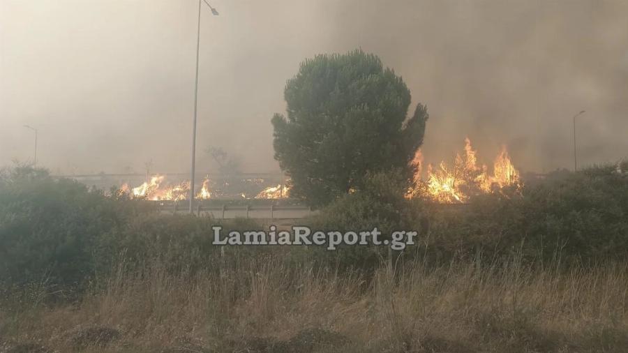 Έκλεισε η Αθηνών – Λαμίας λόγω φωτιάς: Σε γενική Eπιφuλακn οι πυροσβεστικές δυνάμεις