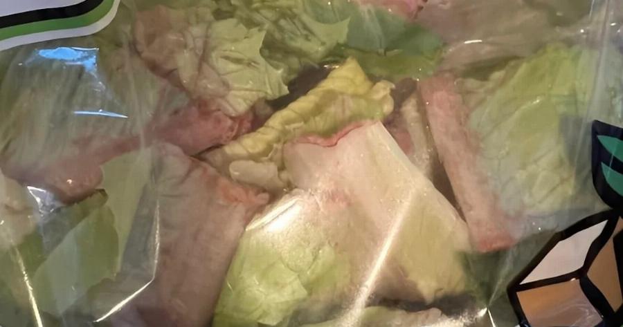 Καταναλώνεις έτοιμες σαλάτες; Μάθε για τον κίνδυνο τοξοπλάσμωσης – Τι έδειξε πανευρωπαϊκή μελέτη