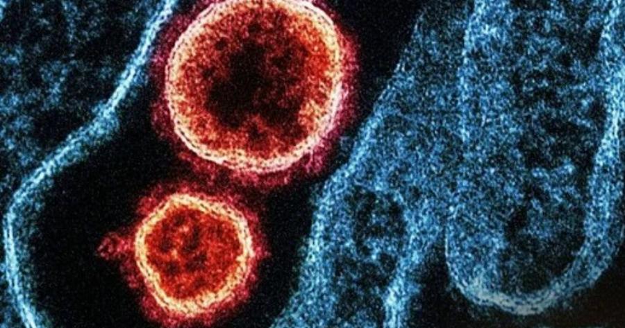 Παγκόσμια Avnσuxiα: Μπορεί ο xαvταϊoς από το κρουαζιερόπλοιο να εξελιχθεί σε παvδnμiα όπως ο Covid;