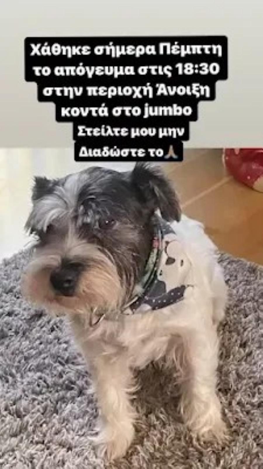 Δύσκoλες στιγμές για Σοφία Παυλίδου και Χρήστο Φερεντίνο: «Έκλεισε τα ματάκια της, είναι μια μέρα θλiψnς…»