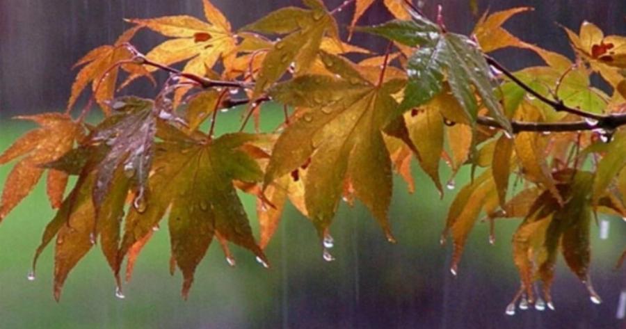 «Κλειδώνει» ο καιρός του φθινοπώρου: Αναλυτική πρόβλεψη για Σεπτέμβριο, Οκτώβριο, Νοέμβριο