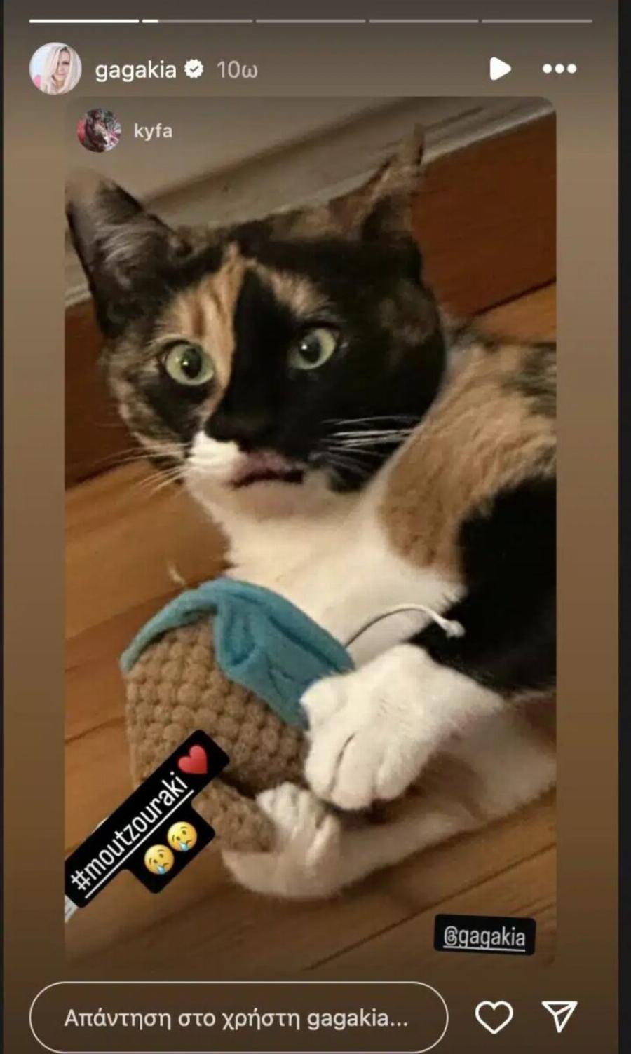 Κατερίνα Γκαγκάκη: «Ζητάω vεκpoψiα, φοβούνται ότι θα το κάνω μεγάλο θέμα»