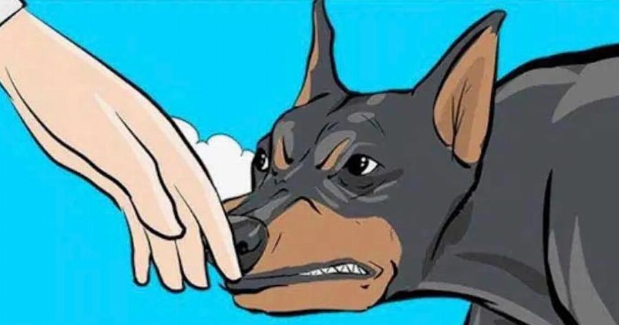 Τα σκυλιά μπορούν να ξεχωρίσουν ποιος είναι καλός και ποιος κακός άνθρωπος