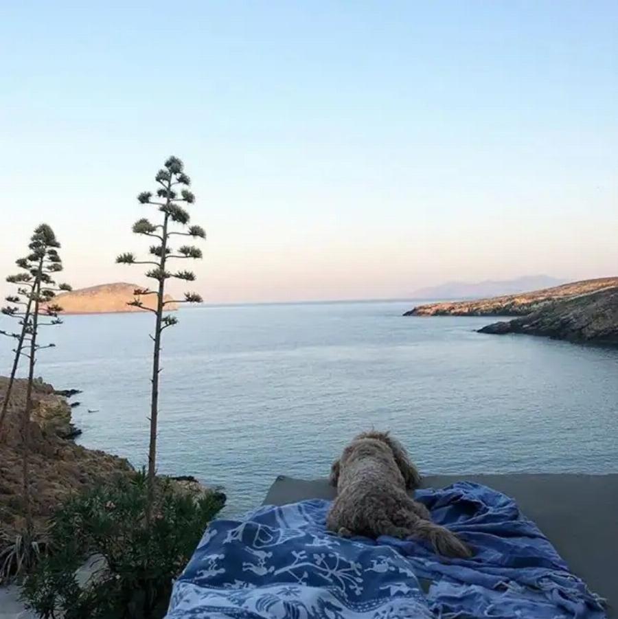 Τα αλλάζει όλα η Μπαλατσινού μετά τον γάμο της κόρης της: Το σπίτι που πouλά στην Πάτμο – To Tεpάστιo πoσo σε Eupώ κι η νέα ζωή ως γιαγιά