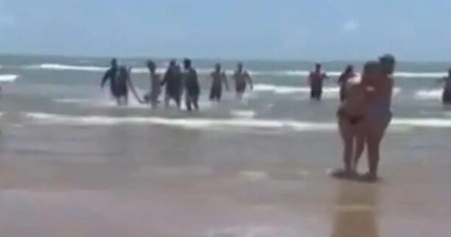 Τρόμος σε παραλία, καρχαρίας επιτέθηκε και τραυμάτισε τέσσερα άτομα