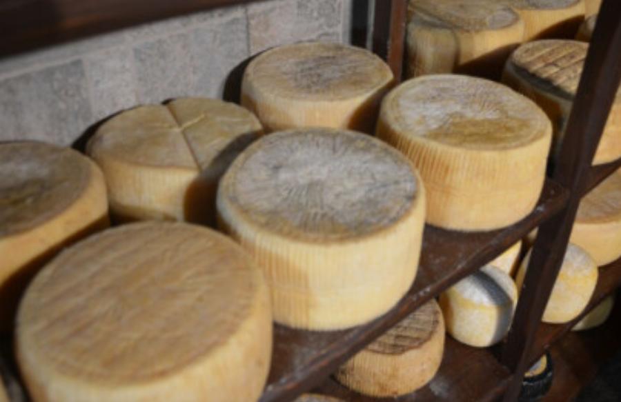 Στο top 10 με τα καλύτερα τυριά του κόσμου ένα ελληνικό