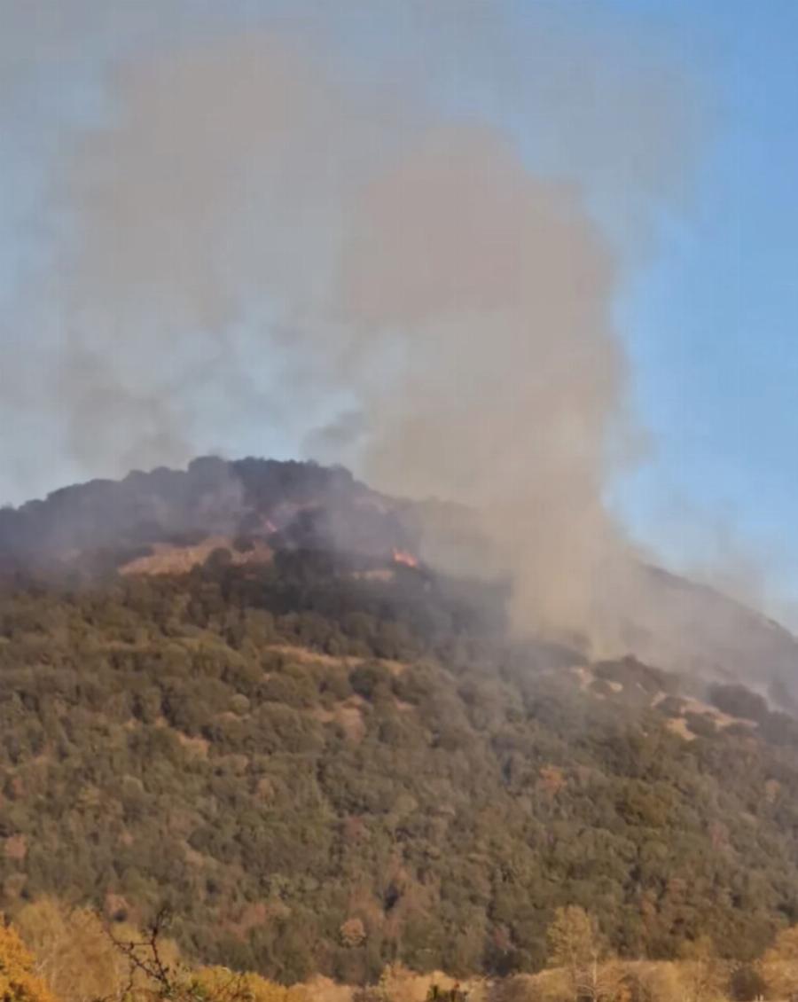 ΕΚΤΑΚΤΟ Καίγεται ξανά η Ελλάδα Νοέμβριο μήνα – Συναγερμός στην Πυροσβεστική – Και εναέρια μέσα στη μάχη