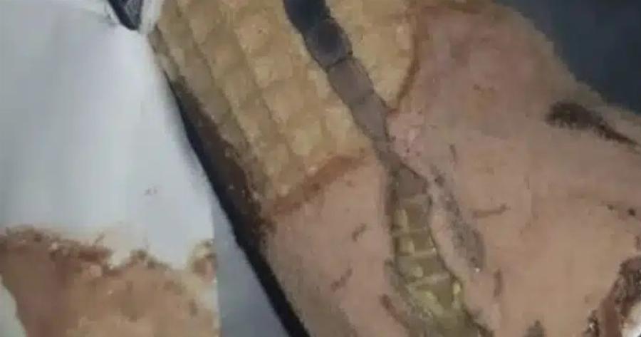 Η κόρη μου άνοιξε ένα παγωτό χωνάκι και βρήκε κάτι παράξενο μέσα, μείναμε άφωνοι όταν συνειδητοποιήσαμε τι ήταν