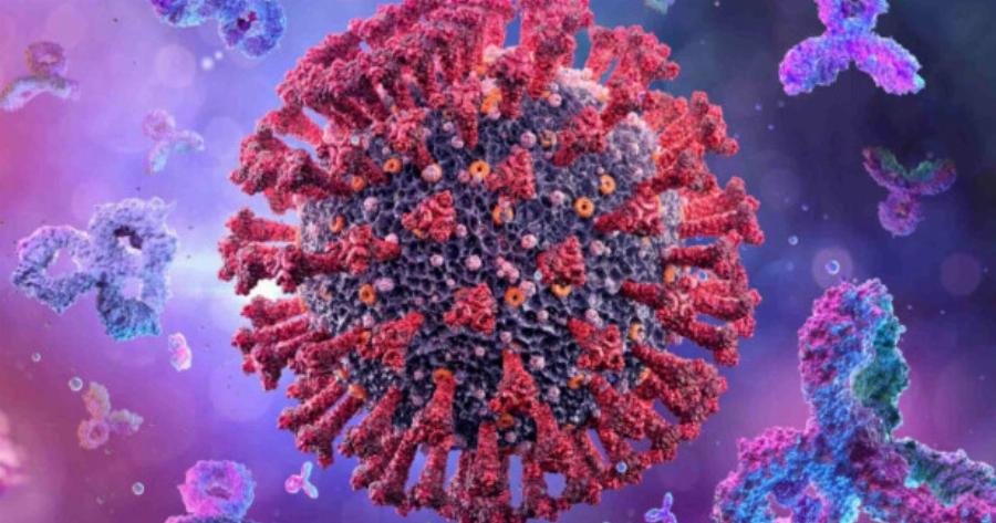 Άσχημα τα νέα: Εντοπίστηκε νέα μετάλλαξη του Covid – Ονομάζεται «FLiRT»