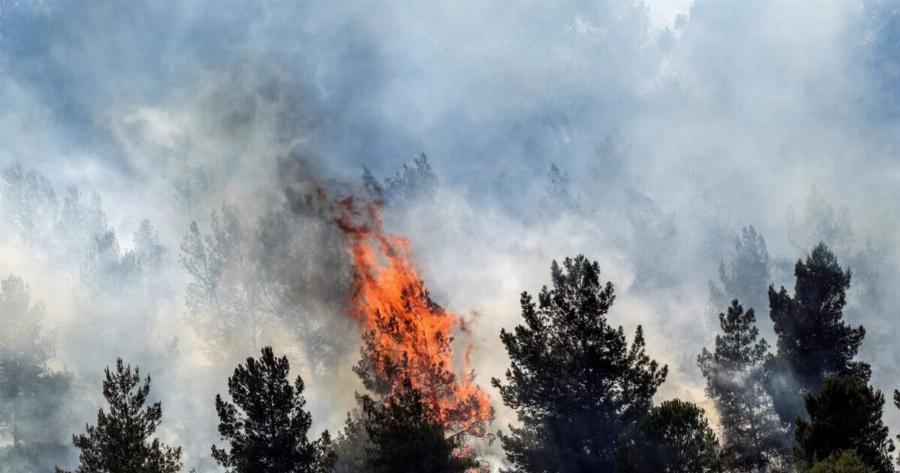 ΦΩΤΙΑ ΤΩΡΑ: ΣΤΟ ΔΡΟΜΟ Ο ΣΤΡΑΤΟΣ – ΕΚΚΕΝΩΝΟΝΤΑΙ ΠΕΡΙΟΧΕΣ – ΑΝΑΞΕΛΕΓΚΤΕΣ ΦΩΤΙΕΣ ΠΛΗΣΙΑΖΟΥΝ ΤΗΝ ΠΟΛΗ – ΚΑΤΑΣΤΑΣΗ ΕΚΤΑΚΤΗΣ ΑΝΑΓΚΗΣ