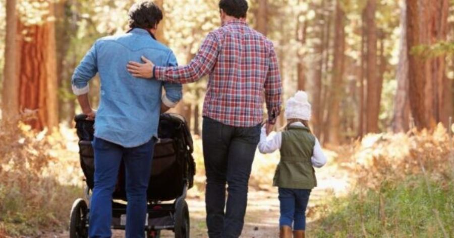 Ψήφισμα: Συμφωνείτε ή διαφωνείτε με τον γάμο των ομóφυλων ζευγαριών και την τεκνοθεσία;