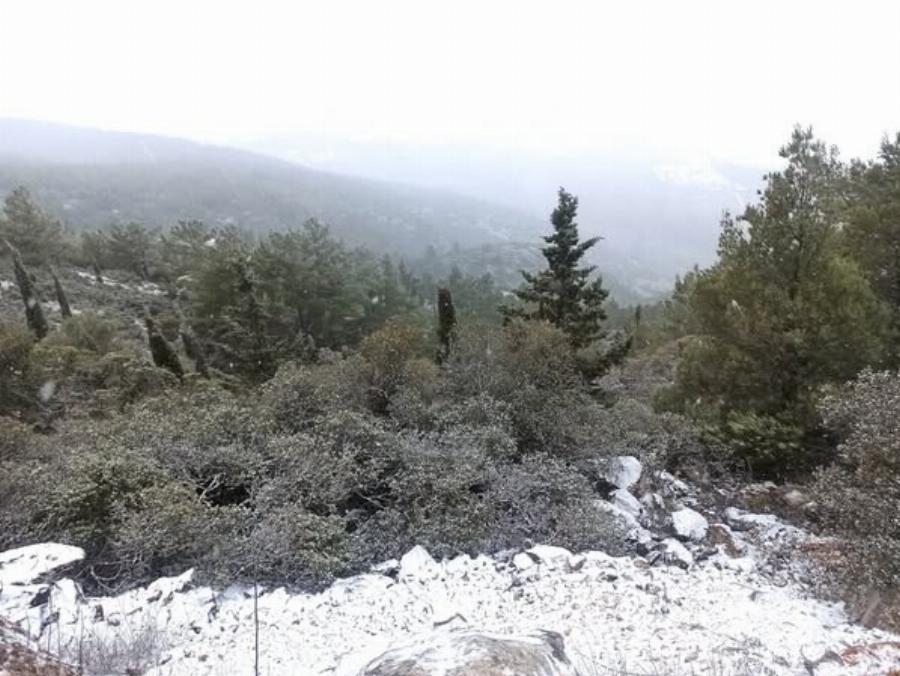 Ξεκίνησε το πυκνό Χιόνι στην Αττική: Δείτε Τώρα που Χιονίζει