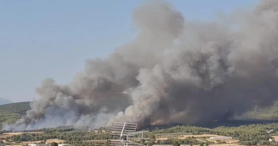 Μεγάλη φωτιά – Ηχησε το 112 για εκκένωση