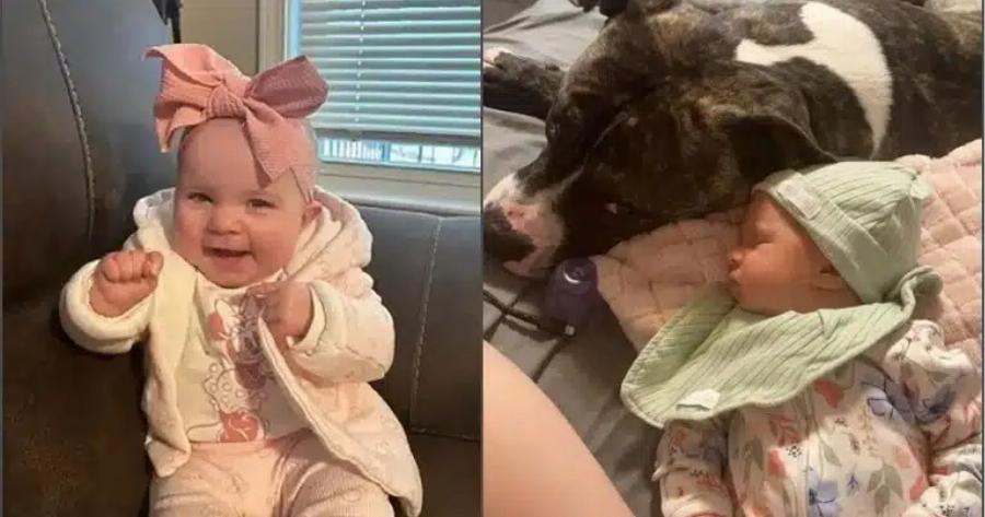 Σε σοκ μητέρα βρέφους – Κατασπάραξε το 7 μηνών κοριτσάκι της… – «Δεν θα καταλάβω ποτέ γιατί!»