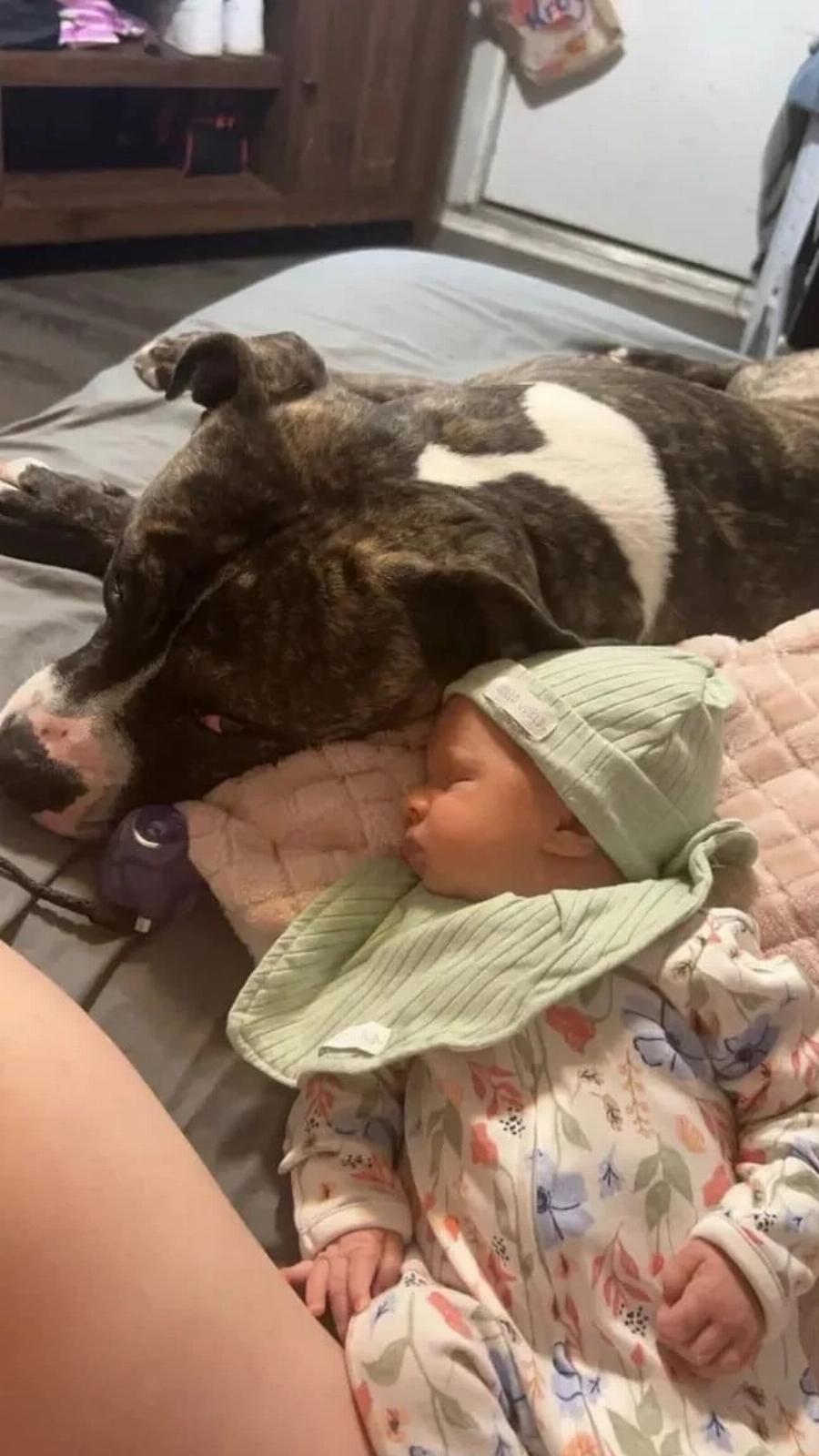 Σε σοκ μητέρα βρέφους – Κατασπάραξε το 7 μηνών κοριτσάκι της… – «Δεν θα καταλάβω ποτέ γιατί!»