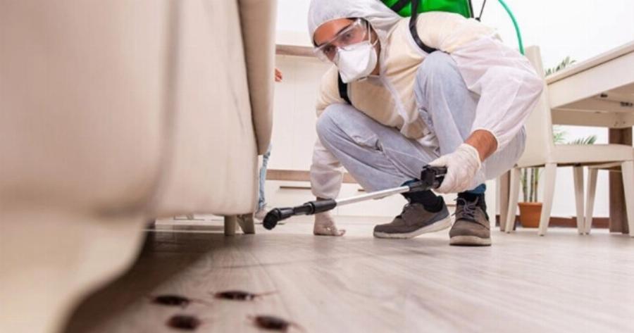 Σταματήστε να το κάνετε αμέσως: Μην σκοτώνετε ποτέ τις κατσαρίδες μέσα στο σπίτι σας, κίνδυνος να συμβεί 1 πράγμα