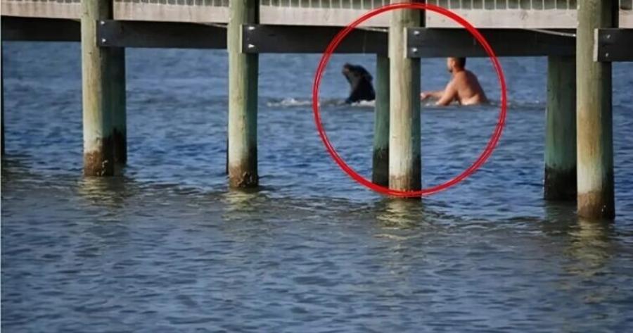 Ένας εντυπωσιακός μαύρος αρκούδος, σχεδόν 180 κιλών, πάλευε απελπισμένα στα ορμητικά νερά — μέχρι που ένας άνδρας έκανε το αδιανόητο