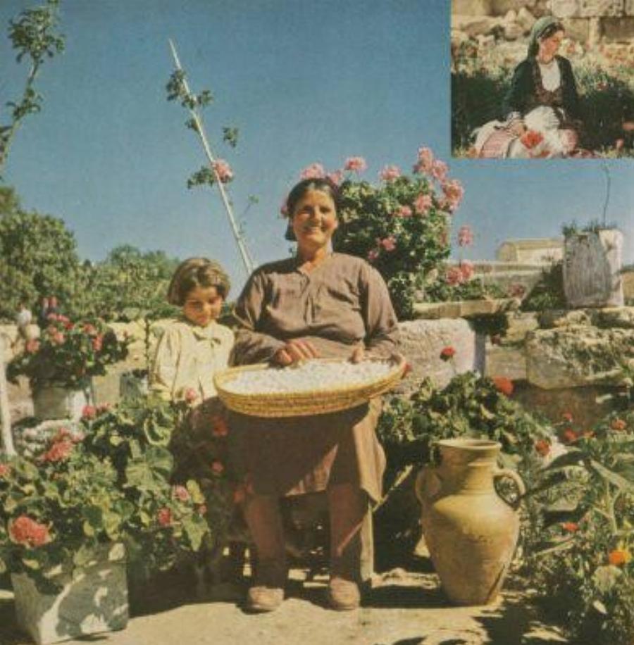 Η πανέμορφη Κύπρια που γοήτευσε το National Geographic και τη φωτογράφισε. 25 χρόνια μετά την αναζήτησε ξανά.