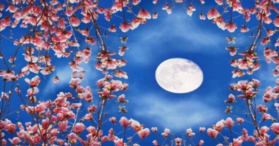 Η σημερινή Πανσέληνος τα αλλάζει όλα: 4 ζώδια θα έχουν την ευκαιρία της ζωής τους τις επόμενες ημέρες