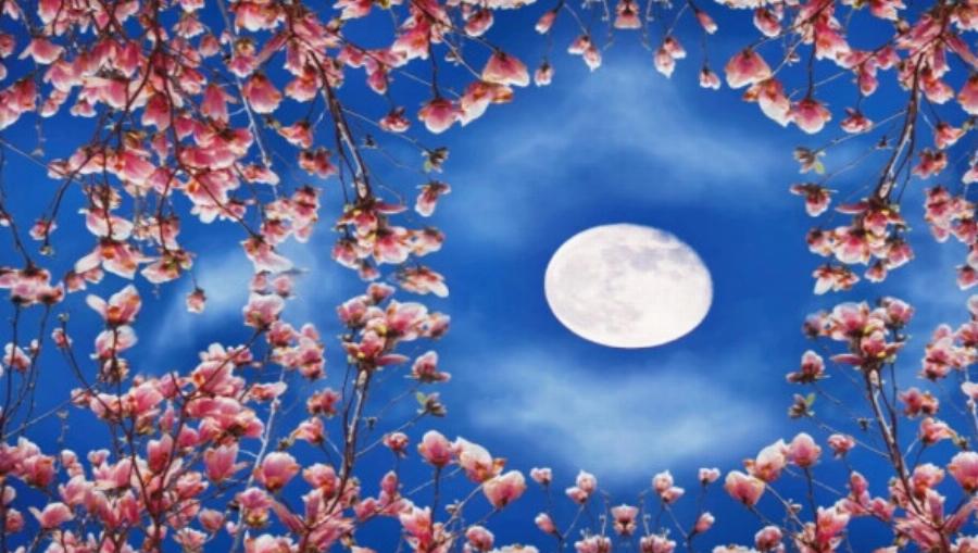 Η σημερινή Πανσέληνος τα αλλάζει όλα: 4 ζώδια θα έχουν την ευκαιρία της ζωής τους τις επόμενες ημέρες