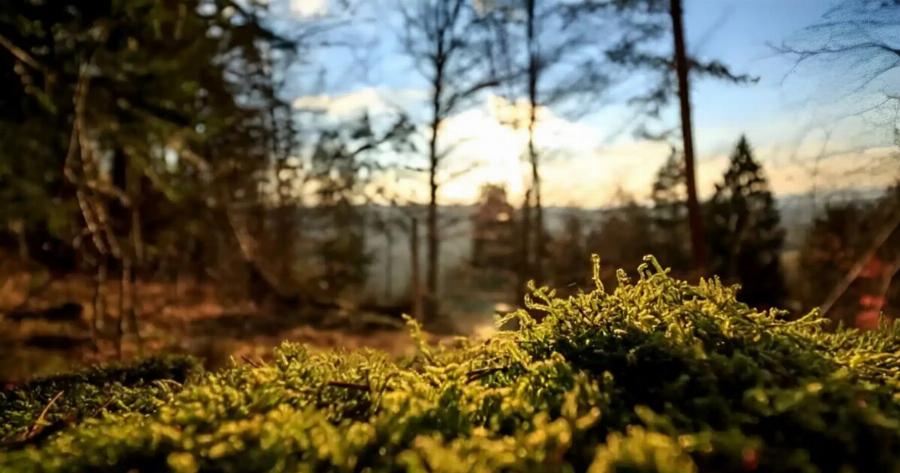 Πήγε στην τουαλέτα & εξαφανίστηκε για 57 χρόνια: Σήμερα τον βρήκαν θαμμένο στο χωράφι, «πάγωσε» η οικογένειά του