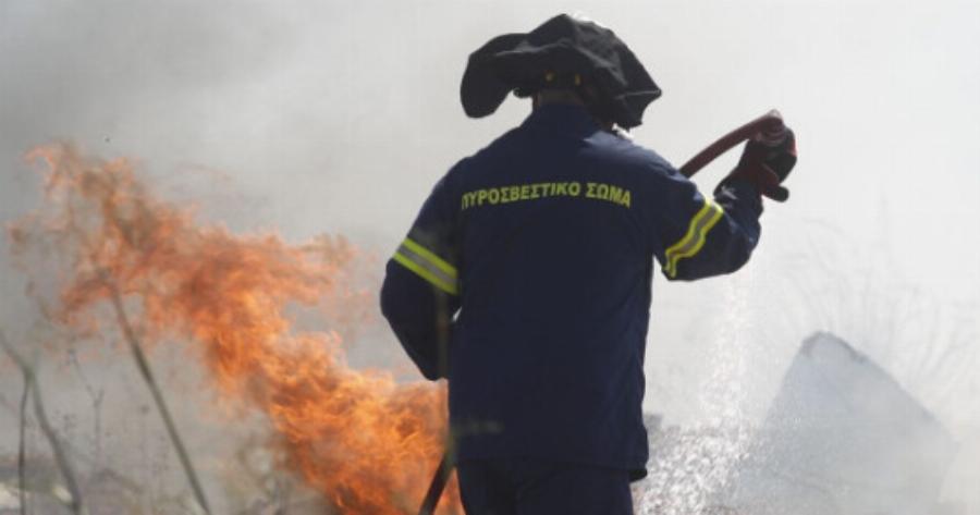 Έκτακτο: Φωτιά στο Πέδιον του Άρεως