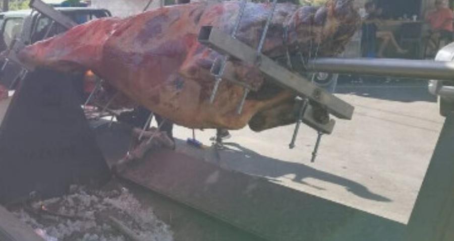 Σάλος με το σούβλισμα ταύρου για τη γιορτή του Αγίου Πνεύματος