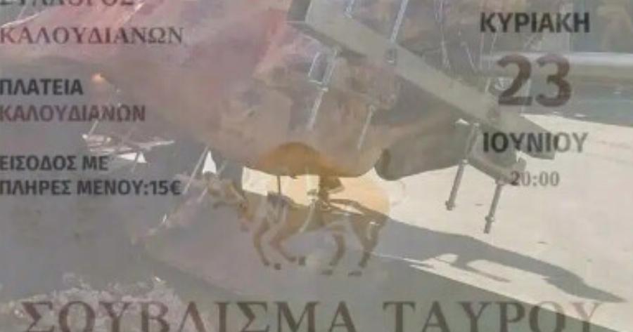 Σάλος με το σούβλισμα ταύρου για τη γιορτή του Αγίου Πνεύματος