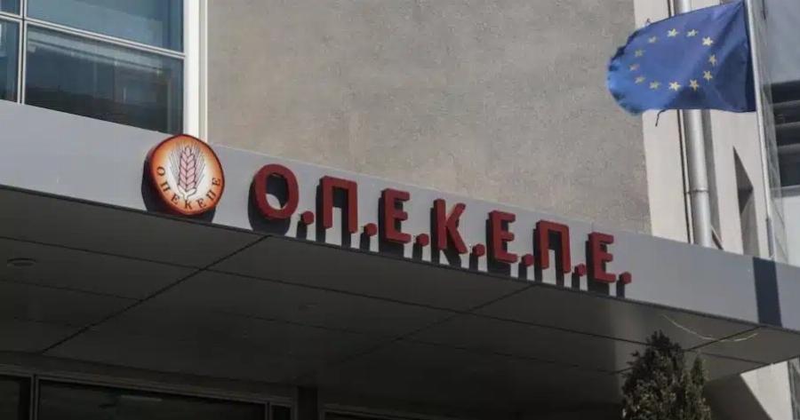 ΡΑΓΔΑΙΑ ΕΞΕΛΙΞΗ ΜΕ ΤΟΝ ΟΠΕΚΕΠΕ