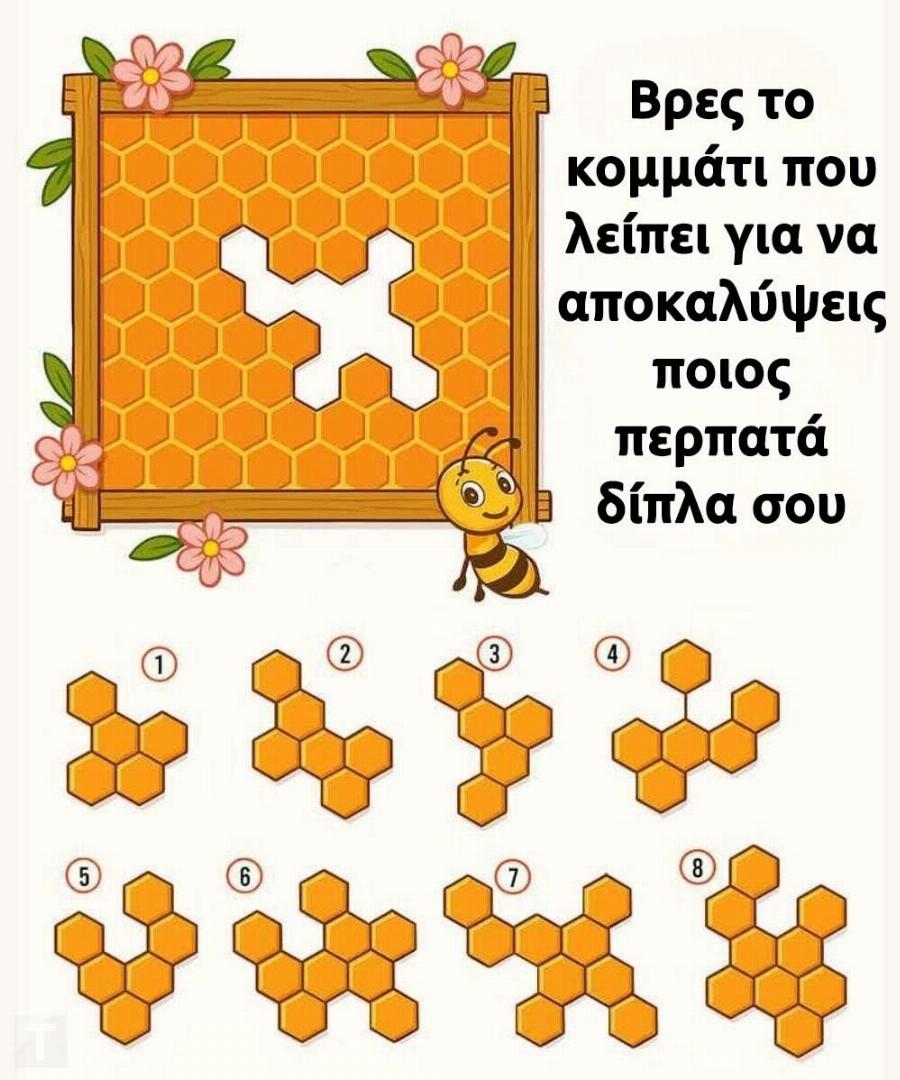 Βρες το κομμάτι της κηρήθρας που λείπει για να αποκαλύψεις ποιος περπατάει δίπλα σου