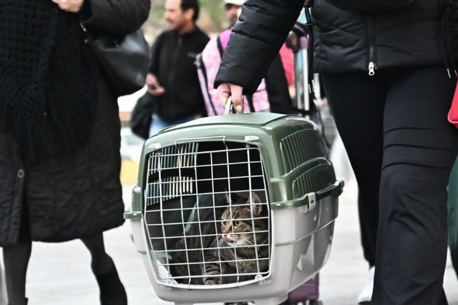 Νέος δυνατός σεισμoς στην Αμοργό: Έφτασαν τις 1.200 οι δονήσεις – 11.000 άτομα έφυγαν