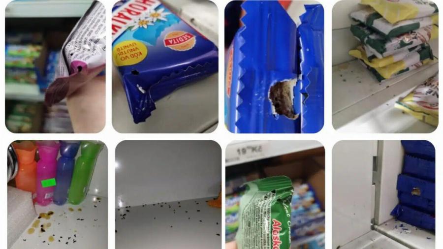 ΛΟΥΚΕΤΟ ΣΕ ΠΑΣΙΓΝΩΣΤΟ ΣΟΥΠΕΡ ΜΑΡΚΕΤ ΛΟΓΩ ΠΑΡΟΥΣΙΑΣ ΤΡΩΚΤΙΚΩΝ: ΦΩΤΟΓΡΑΦΙΕΣ ΣΟΚ