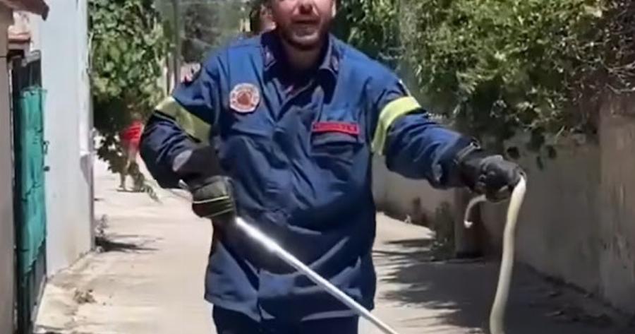 Βάιραλ πυροσβέστης στη Λέσβο πιάνει φiδι με σκούπα και ζητά ένα «τσ’βαλ» να το βάλει μέσα