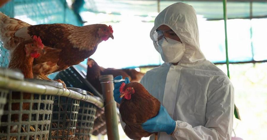 «Συναγερμός» από τους επιστήμονες για νέα θανατηφόρα πανδημία: Τι πρέπει να προσέξουμε