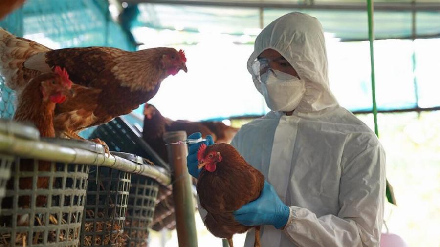 «Συναγερμός» από τους επιστήμονες για νέα θανατηφόρα πανδημία: Τι πρέπει να προσέξουμε