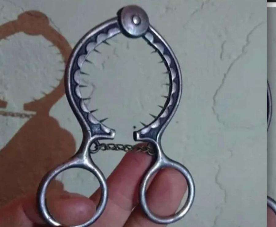 “Βρήκα αυτό σε ένα παζάρι αλλά δεν έχω ιδέα τι είναι. Σκέψεις;”