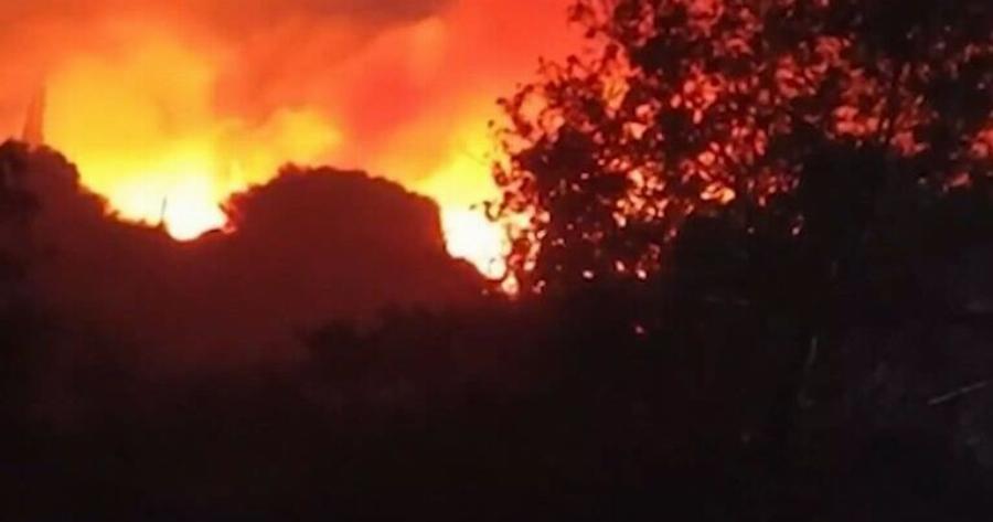 Ελλάδα: Μαίνεται ανεξέλεγκτη φωτιά – Καίει παρθένο δάσος και πλησιάζει την πόλη