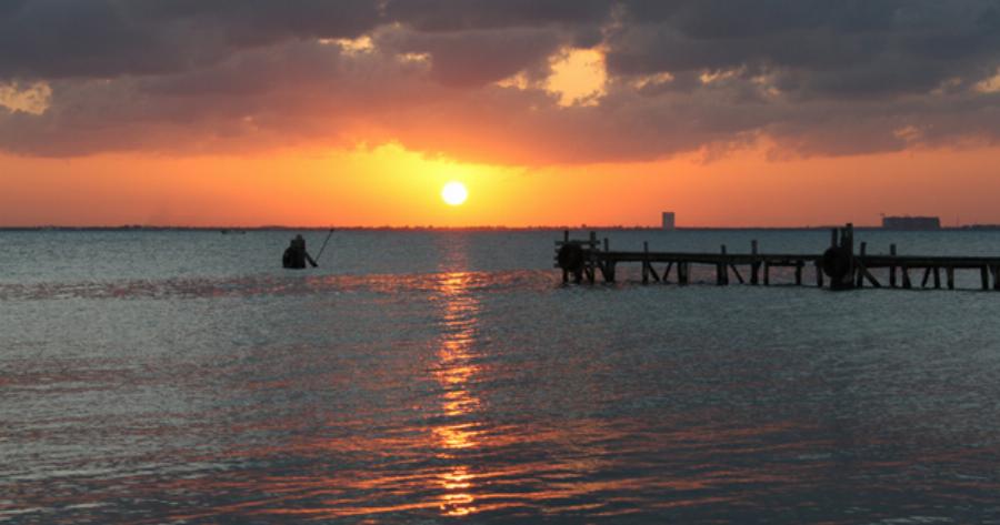 Shell gas profits set to climb ‘significantly higher’ as energy crisis worsens