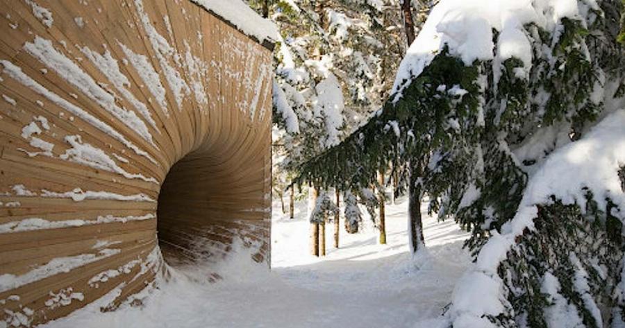 Βρήκαν μια παράξενη τρύπα στο δάσος. Αυτό που είδαν μέσα δε το περίμεναν με τίποτα!