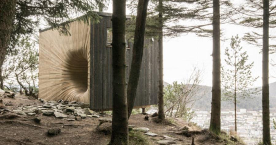 World Politics: Why Austria is proving a major headache for Brussels