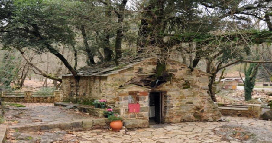 Το εκκλησάκι της Αγίας Θεοδώρας με τα 17 πανύψηλα δέντρα στη στέγη. (εικόνες)
