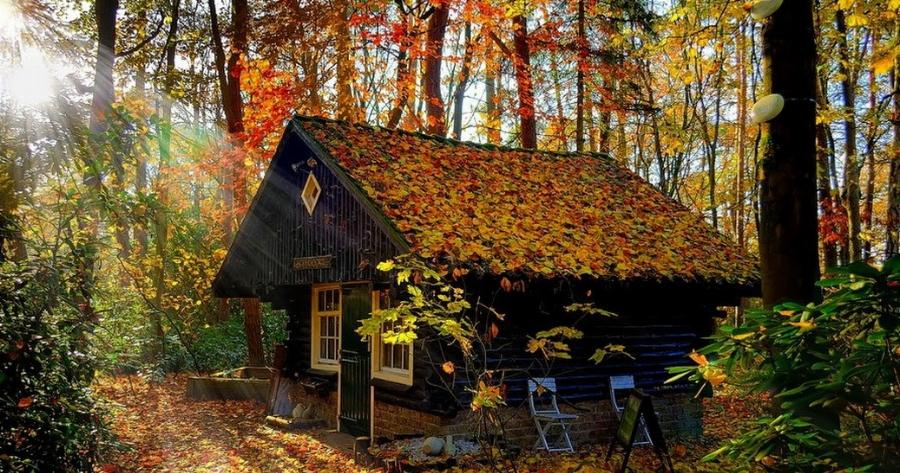 15 Παραμυθένια Σπιτάκια Σχεδιασμένα από τη Φύση!