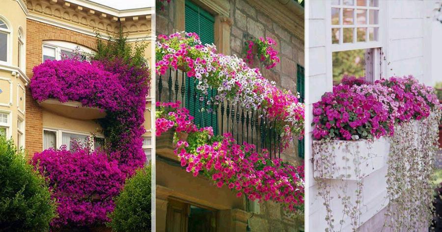 25 πανέμορφα ανθισμένα μπαλκόνια χάρμα οφθαλμών
