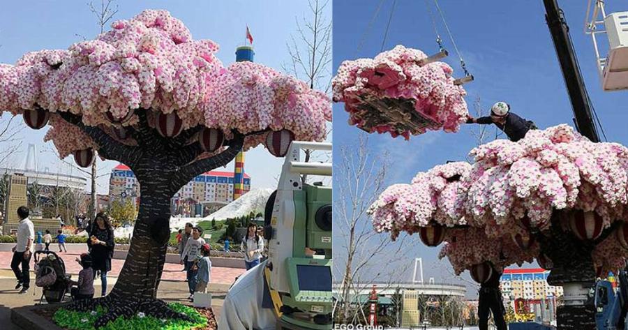 Aνθισμένη κερασιά από LEGO μπήκε στο ρεκόρ Γκίνες