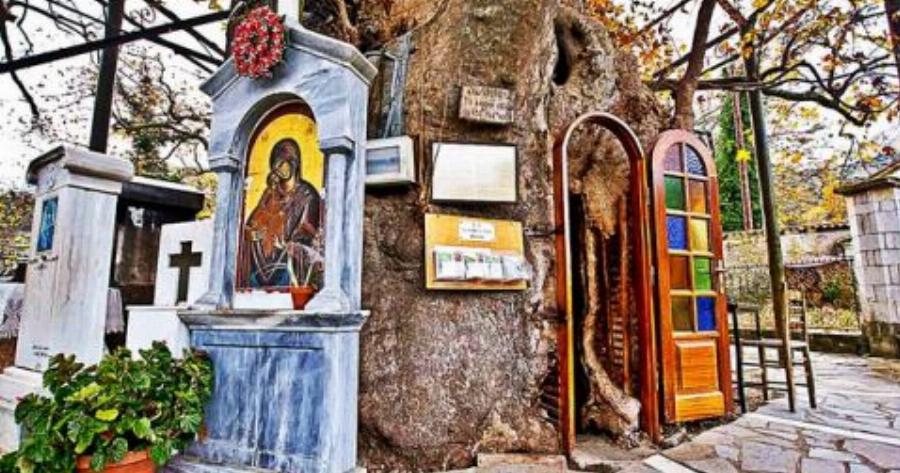Μοναδικό στο είδος του στην Ελλάδα: Το Εκκλησάκι της Παναγίας που βρίσκεται μέσα στην κουφάλα ενός τεράστιου πλατάνου!