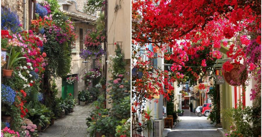 16 Υπέροχοι Ανθισμένοι Δρόμοι, που Καλωσορίζουν την Άνοιξη