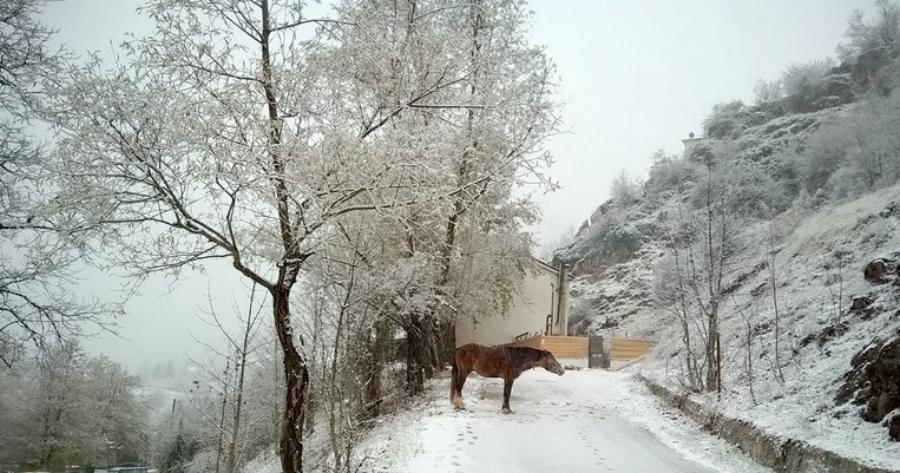 Στα λευκά ντύθηκαν τα ορεινά Τρίκαλα – Έπεσε το πρώτο χιόνι και το τοπίο σήμερα είναι μαγευτικό