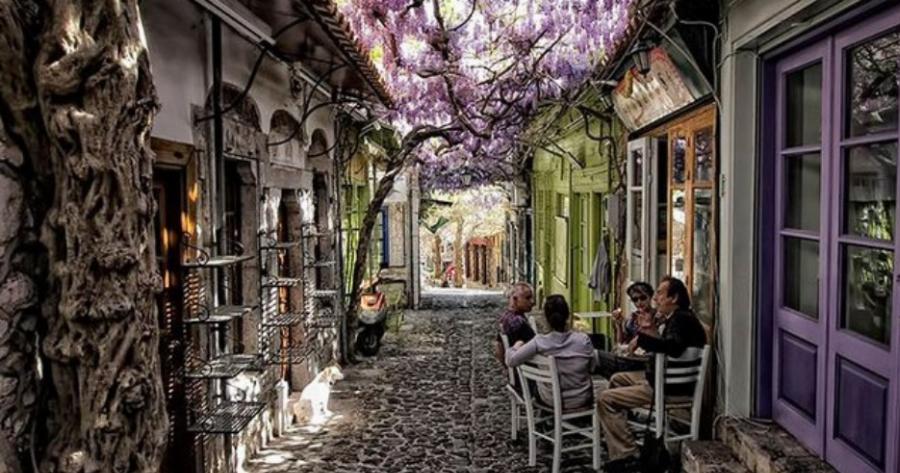 Στη Λέσβο, ο πιο όμορφος δρόμος του κόσμου