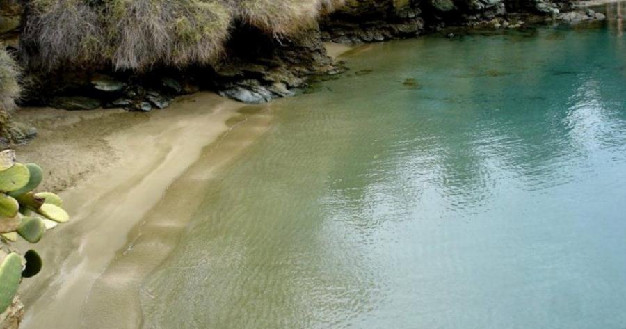 Στην ωραιότερη «άγνωστη» παραλία της Ελλάδας οι φοίνικες και τα λουλούδια «ακουμπούν» τη θάλασσα..