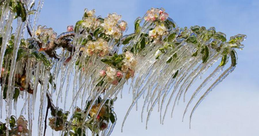 Όταν ο πάγος δημιουργεί τέχνη σε 24 υπέροχες φωτογραφίες